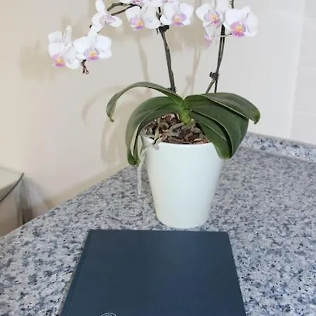 Ferienwohnung Fur 2-6 Personen - Blaue Kuche